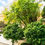 Apartament Alohamundi Plaza Del Museo *